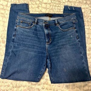 Ann Taylor Denim, The Skinny